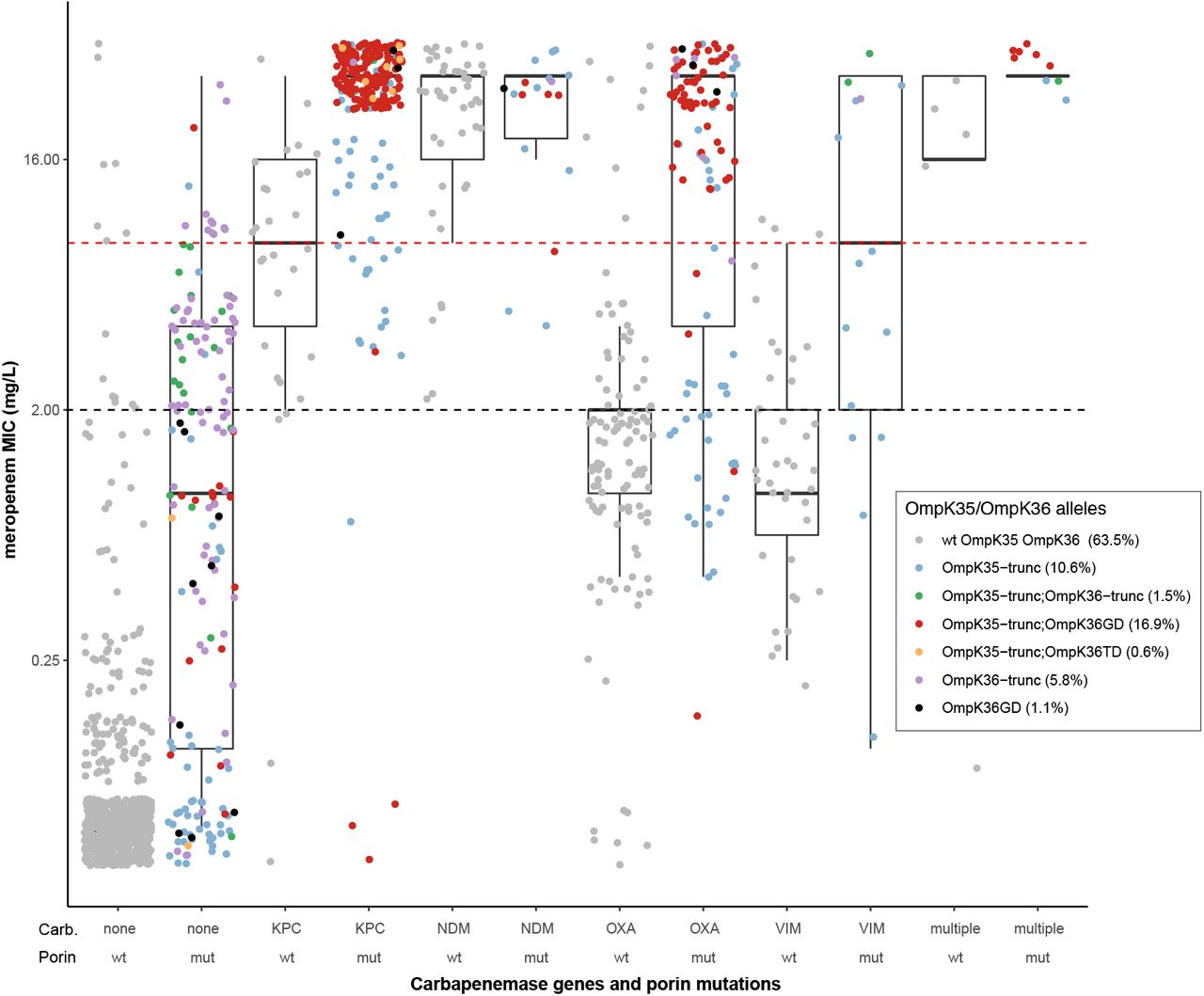 Distribution of meropenem MIC, stratified by Kleborate-detected carbapenemase genes and OmpK35/36 porin mutations, for European K. pneumoniae surveillance isolates.Data shown summarise Kleborate results for 1,490 K. pneumoniae genomes from the EuSCAPE study (data included in Table S2). Each circle represents the reported meropenem MIC for an isolate, coloured by type of porin mutation/s identified by Kleborate from the corresponding genome assembly (colour key in inset legend, prevalence of each genotype across 1490 genomes is indicated in brackets). Isolates are stratified by carbapenemase gene (enzymes labelled on x-axis) and OmpK mutations41,42 reported by Kleborate. Wt, full-length OmpK35 and OmpK36 with no GD/TD insertion in the OmpK36 β-strand loop; mut, otherwise; trunc, truncation. Dashed lines indicate EUCAST breakpoints for clinical resistance (red, MIC >8) and non-susceptibility (black, MIC >2).