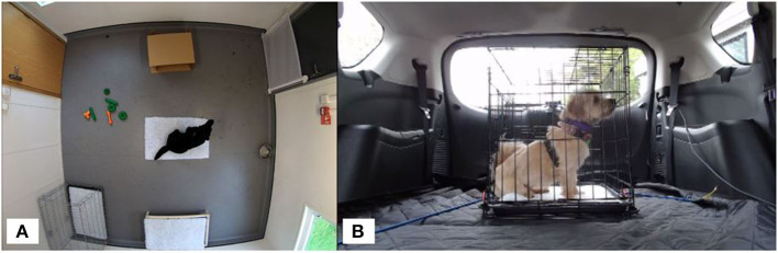 (A) Separation test room setup showing position of vet bedding (center, with a dog on top), then clockwise from top: cardboard box, water bowl, dog bed, crate, and toys. (B) Car test setup showing metal crate secured in rear of the car. Video cameras were positioned at the front and rear of the crate.