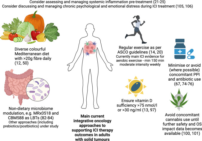 Main current integrative oncology approaches to supporting ICI therapy outcomes in adults with solid tumours (created with BioRender.com)