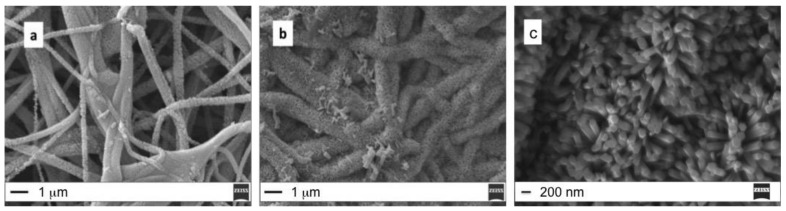 (a) Seed 1h, annealing 180 °C 1 h, CBD 30 min; (b) Seed 1 h, annealing 180 °C 1 h, CBD 1 h (scale bar 1 μm); (c) SEM high magnification image of ZnO nanorods (scale bar 200 nm).