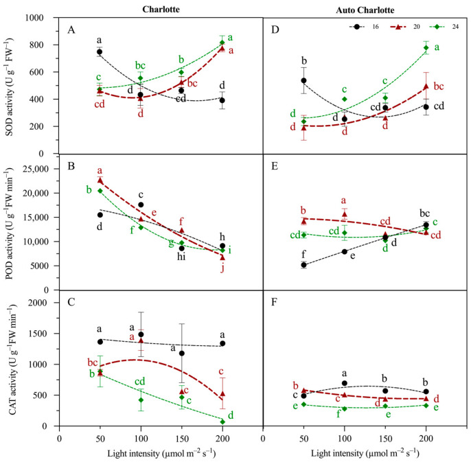 Effects of light intensity and photoperiod on superoxide dismutase (SOD), peroxidase (POD) and catalase (CAT) activity of plantlets of Charlotte (A–C) and Auto Charlotte (D–F). Identical letters indicate no significant difference between group means, while different letters denote significant differences.