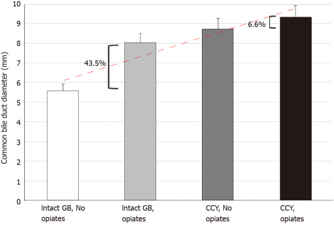 Common bile duct diameter varies with gallbladder and opiate use status. Bar graph depicting mean common bile duct (CBD) diameter for groups categorized by gallbladder status and opiate use. The lowest CBD diameter is seen in patients with an intact gallbladder who did not use opiates, with sequentially increasing diameters noted in patients with an intact gallbladder who used opiates, and in those with prior cholecystectomy who did not use opiates, with the largest mean CBD diameter observed in patients with a history of both cholecystectomy. Trendline (red) depicts this trend, error bars depict standard deviation. Calipers indicate percentage change between the means of indicated categories. GB: Gallbladder; CCY: Cholecystectomy.