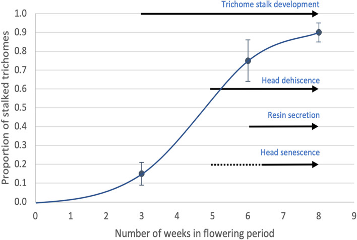 Schematic representation of the progression of capitate trichome development and senescence in cannabis genotypes MD and SQ based on the observations made in this study. The proportion of stalked-capitate trichomes increases exponentially with time in the flowering period to a maximum at 8 weeks. The process of glandular head dehiscence, secretion of resin and senescence begins at around 5 weeks and progresses to harvest (8 weeks). The timelines depicted here will vary by genotype as well as environmental conditions that impose stresses on the plant, which could accelerate the process of glandular head dehiscence and senescence