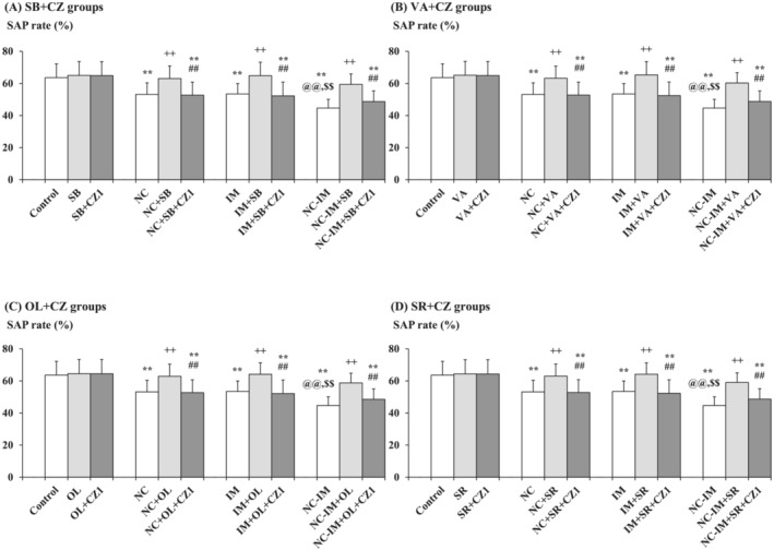Interacting effects between the TRPV1 antagonist and mitigating (working memory improving‐like) drug (i.e., HDAC inhibitor, TRPV1 agonist, or CB1 antagonist) against working memory impairment‐like behavioural alterations caused by NC and/or IM. The parameter values of the Y‐maze test at the 2‐h time point after the last NC (0.8 mg/kg, sc) or IM (10 min) treatment are shown as means with SD bars (n = 10) for each mitigating drug plus TRPV1 antagonist group (with each ip dose [mg/kg]), and statistical significance in post hoc tests is denoted using the symbols as defined below. The detailed data and statistical results have been included in Table S5. (A) SB (100 mg/kg, ip) plus CZ (1 mg/kg, ip) groups (SB + CZ groups); (B) VA (300 mg/kg, ip) plus CZ (1 mg/kg, ip) groups (VA + CZ groups); (C) OL (1 mg/kg, ip) plus CZ (1 mg/kg, ip) groups (OL + CZ groups); (D) SR (1 mg/kg, ip) plus CZ (1 mg/kg, ip) groups (SR + CZ groups). **P < 0.01: significant attenuation as compared with the control group; ++P < 0.01: significant increase as compared with the NC, IM, or NC‐IM group without any cotreatments; @@P < 0.01: significant attenuation as compared with the NC group without any cotreatments; $$P < 0.01: significant attenuation as compared with the IM group without any cotreatments; ##P < 0.01: significant attenuation as compared with the NC, IM, or NC‐IM group cotreated with the efficacious HDAC inhibitor, TRPV1 agonist, or CB1 antagonist.