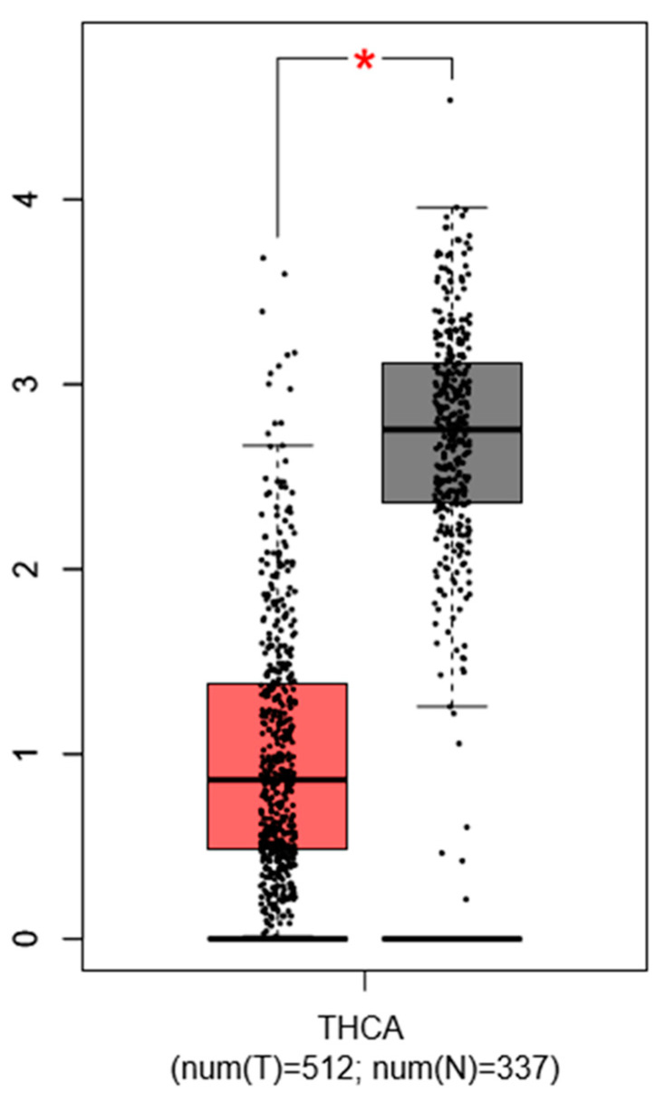 Expression pattern of PROX1 in thyroid cancer (THC) tissues. The red bar represents the PROX1 expression in papillary thyroid tumors (T; the number of cases = 512) and grey bar shows the PROX1 level in healthy tissues (N; the number of cases = 337), * p ≤ 0.05. The data are available on the GEPIA database.
