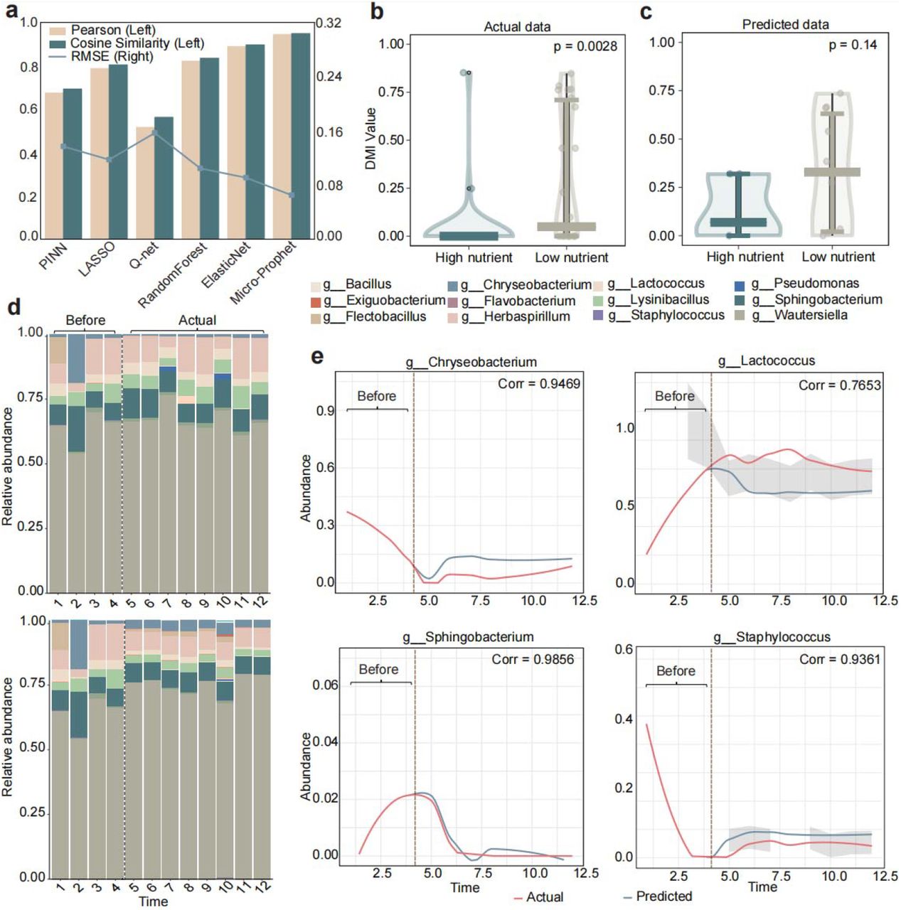 Performance evaluation of MicroProphet on the Synthetic Microbial Communities dataset.(a) Comparison of predictive performance among different models. Bar plots represent Pearson correlation (yellow) and cosine similarity (green), while the line plot represents RMSE (blue). (b-c) Distribution of the DMI value in high-nutrient and low-nutrient communities. b, DMI for actual data, with a significant difference (p = 0.0028); c, DMI for predicted data, with a p-value of 0.14. Blue represents high nutrient, and green represents low nutrient. (d) Stacked bar charts showing microbial composition over time. The top panel represents the actual observed microbial data, while the bottom panel represents the predicted data. The horizontal axis represents time, and the vertical axis represents microbial abundance. (e) Predicted trajectories of highly abundant microbial taxa. Line plots show the temporal abundance trajectories of four representative microbial taxa for a single subject. The red lines represent the actual abundances, while the blue lines represent the predicted abundances. Shaded areas indicate confidence intervals for the predictions. The x-axis represents time, and the y-axis represents microbial abundance values. RMSE, root mean squared error; DMI, degree of microbial individuality.