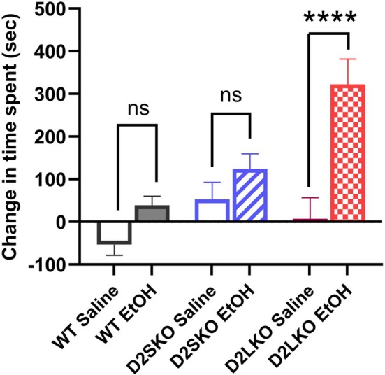 EtOH‐induced CPP was assessed in three genotypes of mice. The vertical bars represent the change in time spent (seconds) from preconditioning to postconditioning in EtOH‐paired compartment or saline‐paired compartment. CPP was significantly increased in D2L KO mice treated with EtOH (D2LKO EtOH) as compared to D2L KO mice treated with saline (D2LKO Saline) (****p < 0.0001; Šidák's multiple comparisons test following two‐way ANOVA). There were no significant changes in CPP between D2S KO mice treated with EtOH (D2SKO EtOH) and D2S KO mice treated with saline (D2SKO Saline) (p = 0.5664) and between WT mice treated with EtOH (WT EtOH) and WT treated with saline (WT Saline) (p = 0.3543). The interaction (genotype x treatment) is considered significant [F(2, 45) = 3.511, p = 0.0383; two‐way ANOVA]. Effect of treatment: F(1, 45) = 17.73, p = 0.0001. Effect of genotype: F(2, 45) = 6.556, p = 0.0032. No significant differences were found between saline‐treated groups (WT Saline vs. D2SKO Saline, p = 0.5901; WT Saline vs. D2LKO Saline, p = 0.9313; D2SKO Saline vs. D2LKO Saline, p = 9709). WT, n = 6 (saline) and 10 (EtOH); D2S KO, n = 8 (saline) and 8 (EtOH); D2L KO, n = 7 (saline) and 8 (EtOH). ns = not significant.