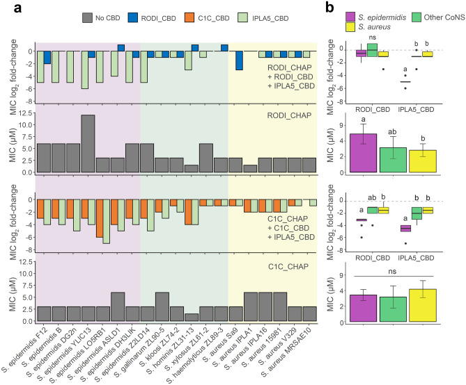 Impact of staphylococcal CBDs on the activity spectrum of EADs. a MIC values (grey bars) for the EADs RODI_CHAP (upper charts) and C1C_CHAP (lower charts) and log2 fold-change of the MIC for fusions of each of the EADs with their original CBD or with IPLA5_CBD with respect to the MIC of the EADs alone. Absolute MIC values can be consulted in Supplementary Table S1 (in Online Resource 1). The background shades indicate the different bacterial species. b Summaries of the data presented in (a) with the datapoints grouped by bacterial class (S. epidermidis, other CoNS or S. aureus). Statistically significant differences were tested between such bacterial groups using the Dunn's test with Bonferroni adjustment for multiple comparisons. Boxplots or bars marked with different letters are significantly different to each other for a significance level of 0.05 (ns = non-significant differences)