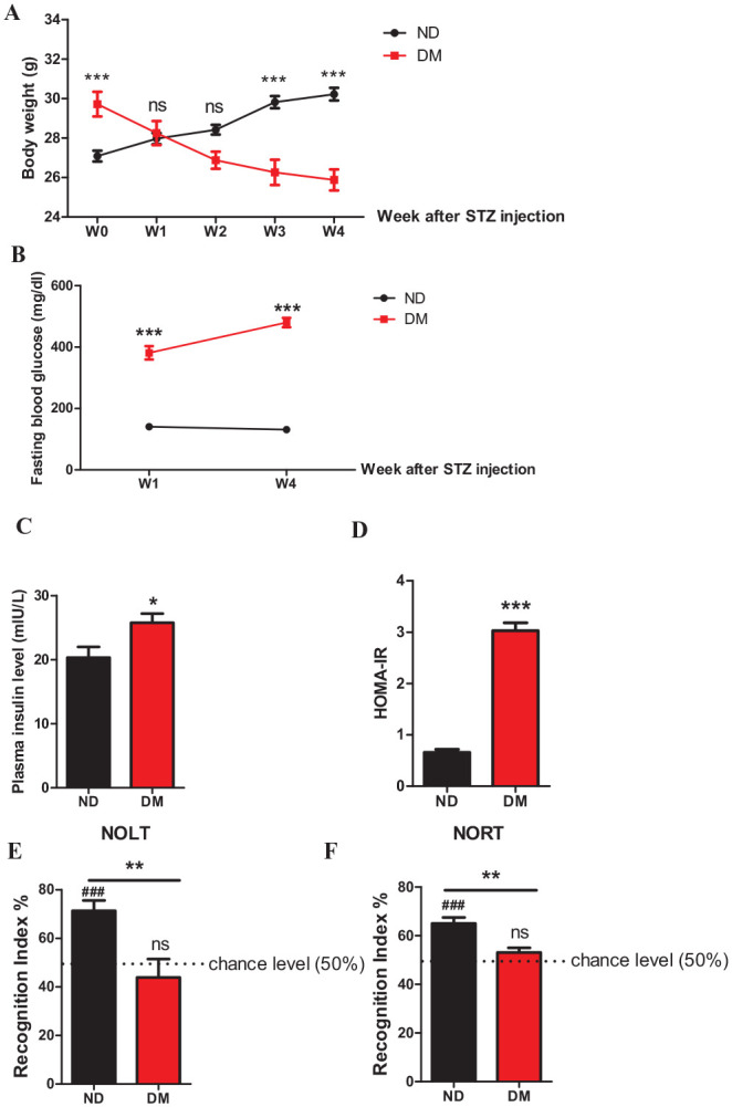 The effects of diabetes mellitus on metabolic parameters and cognitive functions. Diabetes status induces body weight loss (A), increase in fasting blood glucose level (B), increase in plasma insulin level (C), augment HOMA-IR (D) and impaired cognitive function in novel object location recognition test (NOLT) (E) and affects cognitive function in novel object recognition test (NORT) (F). Normal control mice (ND) (n = 12), diabetic mice (DM) (n = 9-10). ***P < .001, **P < .01, *P < .05 when compared with the normal control group (ND), ###P < .001 when compared with the chance level (50%) and ns = nonsignificant.