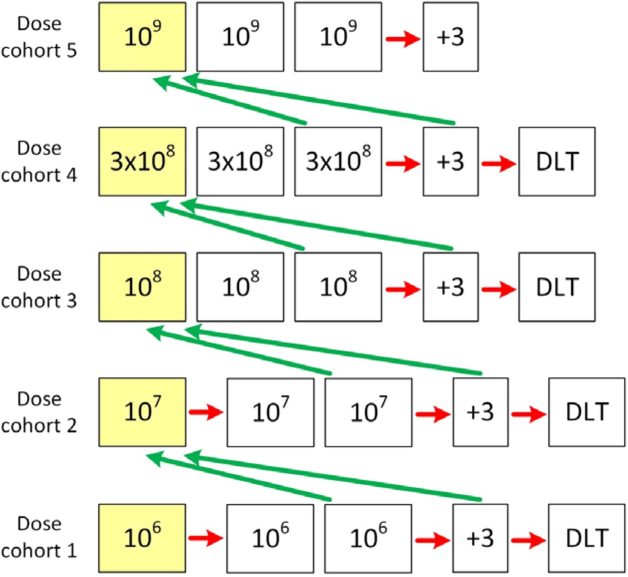 Overview of MAIL Trial design – Scenario 3 (3+3 escalation). In Scenario 3 there is a safety concern and there is expansion of cohorts 1 and 2 into 3+3 blocks. Each square represents one patient dosed at the dose indicated, except the +3 box which indicates an option to dose three further patients at the highest dose in that cohort. A green arrow represents a DMC recommendation to dose escalate. A red arrow indicates a DMC recommendation to expand at that dose. DLT is dose-limiting toxicity. Yellow squares are sentinel dosed patients. The highest dose is up to 10 cells.