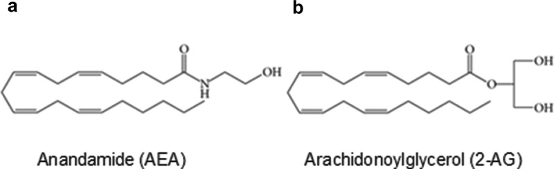 Chemical structures of N-arachidonoylethanolamine (AEA) and 2-arachidonoylglycerol (2-AG), two major endogenous cannabinoids (endocannabinoids). (a) AEA. (b) 2-AG