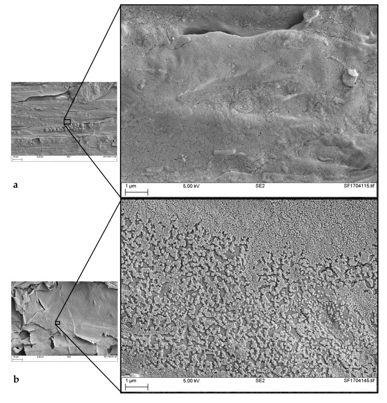 SEM (Scanning Electron Microscopy) images of samples: (a) H0-0-0 at ×10,000 magnification; (b) H12-1-1 showing a partial coverage at ×10,000 magnification; (c) H12-1-2 at ×25,000 magnification; and (d) H12-1-3 showing a complete and uniform coverage of the hemp shiv surface at ×10,000 magnification. Courtesy of TWI Ltd.