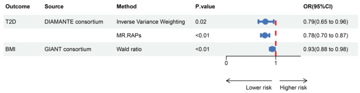 Positive control analysis showing estimates of causal effects between GLP1RA and BMI/T2D. T2D, type 2 diabetes; MR.RAPs, Mendelian randomization robust adjusted profile scores; OR, odds ratio; CI, confidence interval.