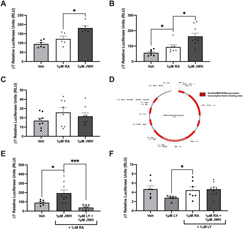This six-panel figure assesses regulation of β7 promoter activity with panel A showing an increase in promoter activity in response to JWH-133 that occurs again with a 750bp truncation mutation of the promoter (B) but is lost with 500bp truncated expression of the promoter (C) indicating that the effect is between 500 and 750bp. Panel D contains a plasmid map outlining the location of seven Ras/Raf/MEK/ERK-associated transcription factor binding sites within that region which may be driving JWH-133-mediated transcription activation. Panel E shows that pan-Raf inhibitor co-administration abolishes the JWH-133-induced transcription, while panel F shows that RA significantly increases promoter activity even in the presence of the pan-Raf inhibitor, indicating that while JWH-133-induced increases in luciferase activity are Raf-dependent, RA-mediated induction of β7 is not.