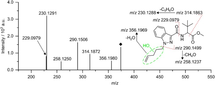 HRMS/MS spectrum and proposed fragmentation pattern of TP374. Changes in the molecular structure introduced during the electrochemical oxidation are highlighted in green. The acquisition of fragment spectra was carried out alongside the mass voltammogram using DDA. The spectrum was obtained by summation of HRMS/MS spectra with collision energies of 15 and 30 eV, respectively.