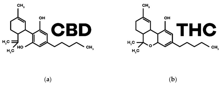Chemical structures of the main phytocannabinoids in Cannabis sativa L.: (a) CBD; (b) THC.