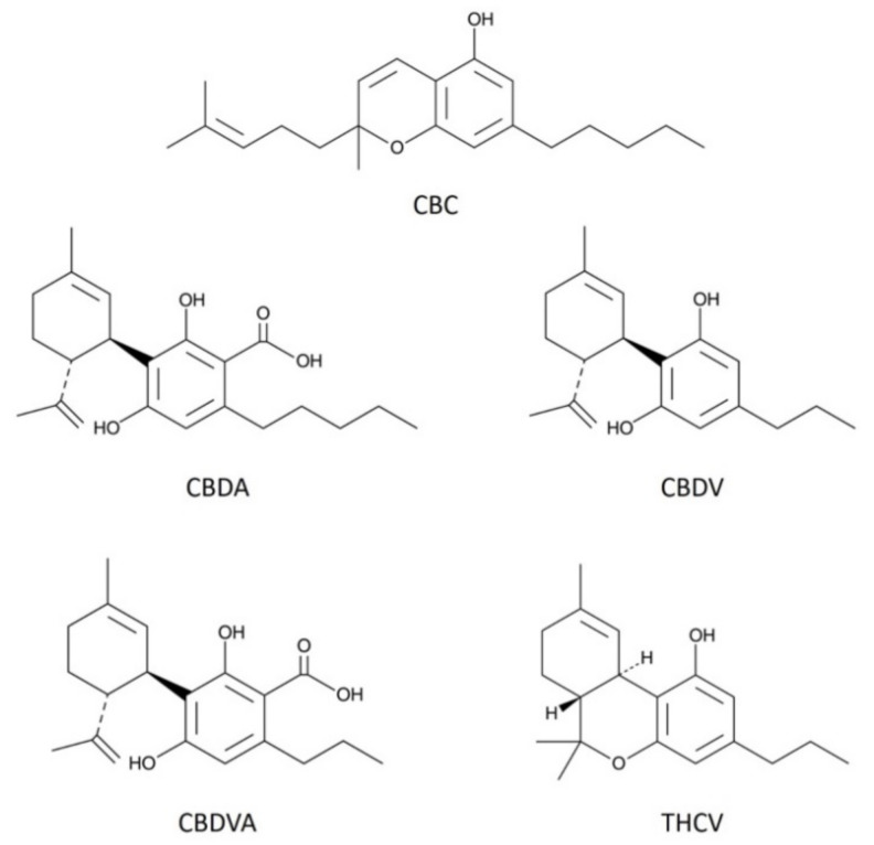 Structures of phytocannabinoids examined in the current study. The figure shows chemical structures of the five phytocannabinoids used in this study; cannabichromene (CBC), cannabidiolic acid (CBDA), cannabidivarin (CBDV), cannabidivarinic acid (CBDVA), and Δ9-tetrahydrocannabivarin (THCV).