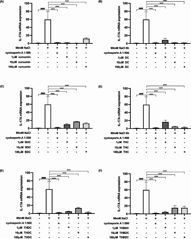 Effect of curcuminoids and curcuminoid analogs on IL-17 A mRNA expressions in hyperosmotic-induced human corneal limbal epithelial cells. After 90mM NaCl exposure for 6 h, IL-17 A mRNA expression levels were inhibited by (A) curcumin, (B) demethoxycurcumin (DC), (C) bisdemethoxycurcumin (BDC), (D) tetrahydrocurcumin (THC), (E) tetrahydrodemethoxycurcumin (THDC), and (F) tetrahydrobisdemethoxycurcumin (THBDC). mRNA expression levels were assessed using quantitative RT-PCR. ####P < 0.0001 compared to control. ****P < 0.0001 compared to NaCl alone