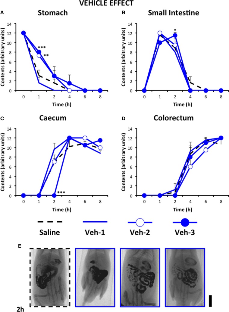 Effect of saline or the cannabinoid vehicle on gastrointestinal motor function in the rat. Gastrointestinal motor function was evaluated by radiological methods (see text) in: (A) stomach (gastric emptying); (B) small intestine; (C) caecum and (D) colorectum. Rats were injected intraperitoneally (i.p.) with: saline (1–2 ml/kg) or the cannabinoid vehicle once (20 min before saline, Veh-1), twice (before and 24 h after saline, Veh-2), and thrice (before, 12 and 24 h after saline, Veh-3). Barium sulfate (2.5 ml, 2 g/ml) was intragastrically administered immediately or 24 h after drug administration and X-rays were taken 0–8 h after. Data represent mean ± SEM. *p < 0.05, **p < 0.01, ***p < 0.001 vs. saline (two-way ANOVA followed by post-hoc Bonferroni multiple comparison test). n = 4–8 animals per group. (E) Representative images of saline- and Veh-treated animals 2 h after contrast. Scale bar: 23 mm.