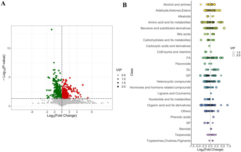 Panel A shows a volcano plot with log two fold change on the x-axis and negative log ten p-value on the y-axis; red and green dots represent statistically significant changes. Panel B displays a dot plot categorizing metabolites by class along the y-axis with log two fold change on the x-axis, and dot size indicates variable importance projection (VIP) scores.