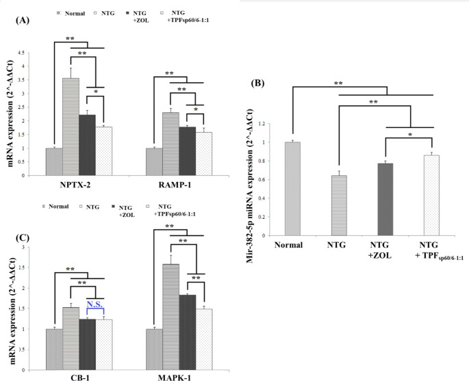 Bar charts for comparing the effect of ZOL transdermal patches (TPFsp60/6−1:1) versus oral ZOL on potential novel ZOL mechanisms for treating migraine headaches. A: gene expression of epigenetically-altered genes in migraine (NPTX-2 and RAMP-1) in brain tissue; B: gene expression of Mir-382-5P in brain tissue; C: gene expression of cannabis receptor pathway components (CB-1 and MAPK) in brain tissue. ANOVA test was used to compare the different groups with Post Hoc Test (Tukey) and Post Hoc Test to compare different receptors for the same group. *: Statistically significant at p ≤ 0.05, **: Statistically significant at p ≤ 0.001, N.S: Statistically non-significant (p > 0.05), n = 7; all results are presented as mean ± SD. (NTG: nitroglycerin, ZOL: zolmitriptan, TPFsp60/6 − 1:1: transdermal patches loaded with niosomes, CB-1: cannabinoid type-1 receptor, MAPK: mitogen-activated protein kinase)