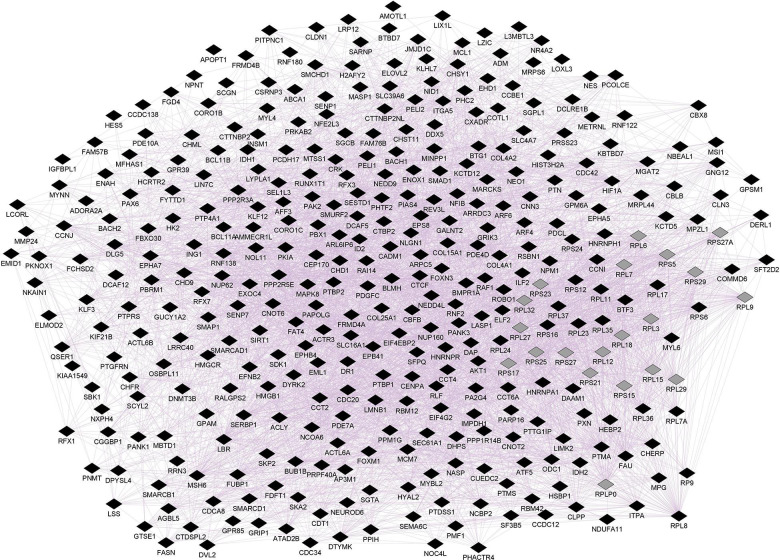 Prefrontal CNR1 gene network using GeneMANIA. Black diamonds indicate query genes, whereas gray diamonds indicate related genes added by GeneMANIA. GeneMANIA converts mRNA expression data from Gene Expression Omnibus (GEO) to functional association networks, connecting co-expressed genes through purple lines. Node sizes represent gene scores, reflecting how often paths that start at a given gene node end up in one of the query genes.