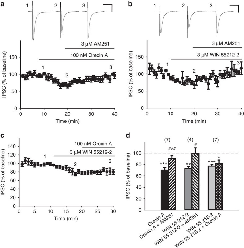 Orexin A-induced IPSC depression was reversed by a CB1R antagonist, and was mimicked and occluded by a CB1R agonist.(a–c) The time course of the effect of (a) orexin A (100 nM) or (b) WIN 55,212-2 (3 μM) on IPSC amplitude before and after further treatment with AM 251 (3 μM), or with (c) orexin A. (d) The effect of orexin A (black bar) or WIN 55,212-2 (grey bars) alone or in combination with AM 251 (slashed bars; n=7, P<0.001 ; t(6)=−10.433 versus n=4, P=0.0481; t(3)=−3.232) or WIN 55212-2+orexin A (crossed bars; n=7, P=0.569 ; t(6)=−0.602) on IPSC amplitude. Scale bars, 50 ms and 200 pA. *P<0.05, **P<0.01, ***P<0.001 versus 100% (One sample t-test); #P<0.05, ###P<0.001 versus Orexin A alone (paired t-test). Data are expressed as mean±s.e.m.