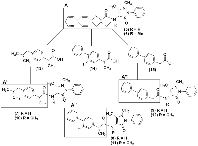 Design concept of novel NSAID-pyrazolamide derivatives (7–12).
