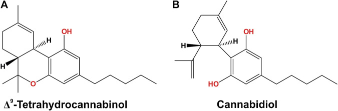 Chemical structures, (A) THC and (B) CBD, the main phytocannabinoids extracted from the Cannabis plant THC, tetrahydrocannabinol; CBD, cannabidiol.
