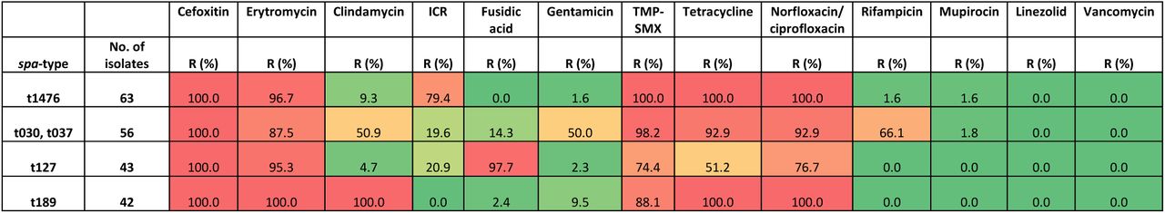Proportion of strains resistant to the tested antibiotics, for the four most prevalent MDR-MRSA clones.Color gradient from red to green indicates high to low percentage of resistant strains accordingly. ICR, inducible clindamycin resistance; TMP-SMX, trimethoprim-sulfamethoxazole.