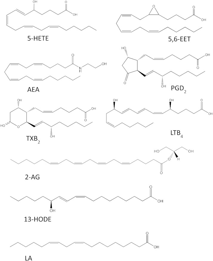 Representative chemical structures of the different groups of lipids measured using LC-MS/MS.