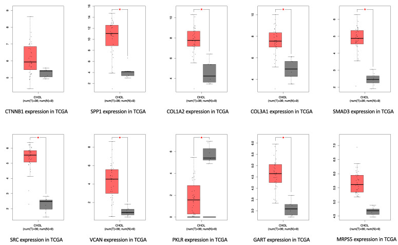 Gene expression level of top hub genes in TCGA-CHOL. Red box: tumor sample; gray box: normal tissue. log2(TPM + 1) scale was used to transform the expression data for plotting.