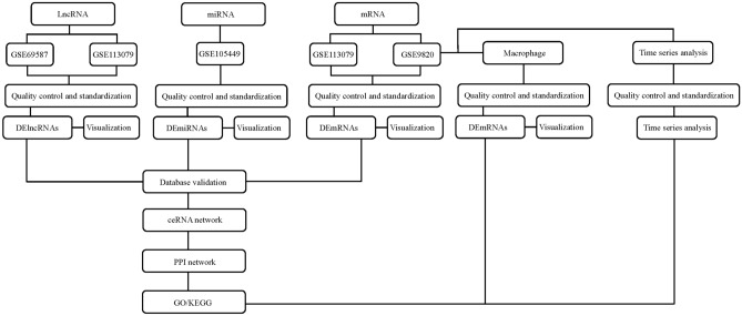 The flow chart of the methodology of work.