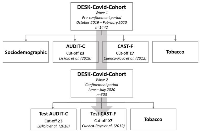 Methodology of DESK-COVID-Cohort in the two waves of the study and tests used to assess substance use.