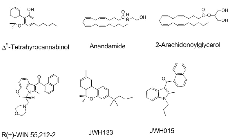 The structure of natural, endogenous and selective synthetic cannabinoid agonists of Cannabinoid receptors type 1 and type 2 (CB1R and CB2R).