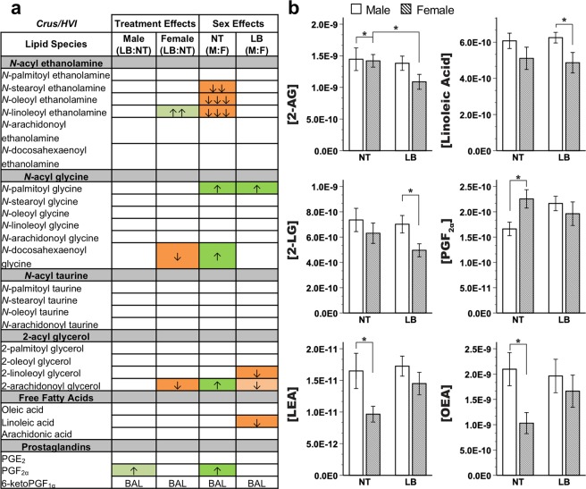 Endocannabinoid and related lipid quantification for the cerebellar Crus I region. (a) Effects for all measured lipids. Columns represent treatment and sex-specific effects, showing changes to the limited bedding group in relation to the no treatment group (LB:NT) or changes in males in relation to females (M:F). Number of arrows represents fold-change: up-arrow (green) is increase, down-arrow (orange) is decrease; ↑ = 0-0.49-fold change, ↑↑ = 0.5–0.99-fold change, ↑↑↑ = 1–1.49-fold change. Color scheme represents significance, with full colors indicating significance at LSD-corrected p < 0.05 and shaded colors indicating a trending significance. BAL = below analytical limits. (b) Specific effects on lipids of interest. Y-axis indicates concentration of lipid of interest while x-axis represents limited bedding (LB) and no treatment (NT) groups. OEA = N-oleoyl ethanolamine, LEA = N-linoleoyl ethanolamine. *LSD-corrected p < 0.05.