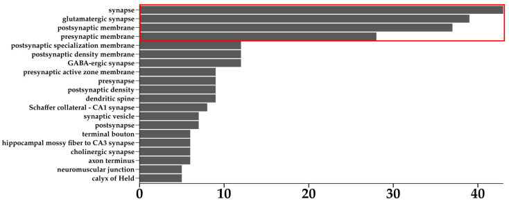 The bar plot shows the number of DEGs involved in the different terms and sub terms. The red box highlights the terms and sub terms that include the higher part of the DEGs related to the MF “ion channel activity”.