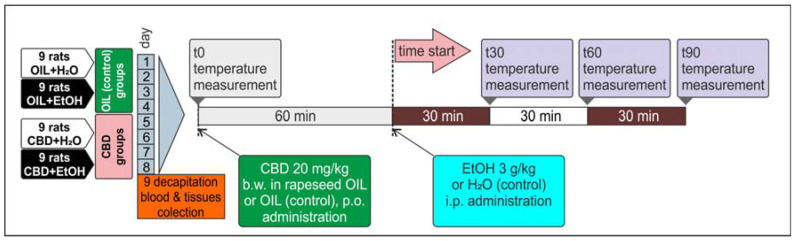 Alcohol tolerance development during a nine-day CBD and EtOH administration.