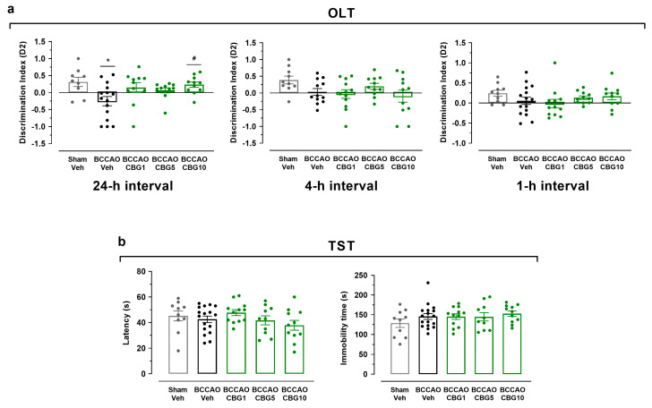 CBG improves memory impairment induced by BCCAO in mice. (a) Spatial learning and memory performance was analyzed in the OLT using the D2 exploration index at 1, 4, and 24 h intervals. (b) Depression-like behavior was evaluated in the TST by measuring the latency for the first episode of immobility (latency) and the immobility time. The bars represent the mean ± SEM in the different groups (n = 11–17/group). * p < 0.05 for sham vs. BCCAO; # p < 0.05 for BCCAO vs. BCCAO + CBG (one-way ANOVA followed by Sidak’s test).