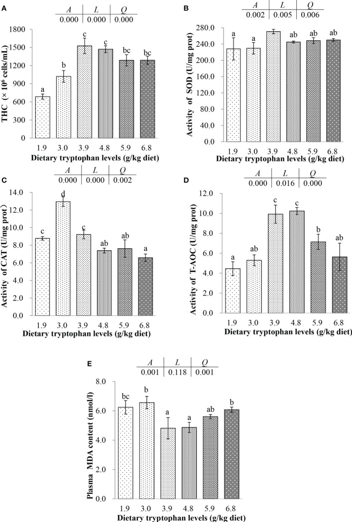 Effects of dietary tryptophan different levels on total hemocyte count and hematologic antioxidant parameters of blood in C argus (means ± S.D. of three replications). Bars with different letters differ significantly among the treatments (P < 0.05). (A) Total hemocyte count (THC); (B) Superoxide dismutase (SOD); (C) Catalase (CAT); (D) Total antioxidant capacity (T-AOC); (E) Malondialdehyde (MDA).