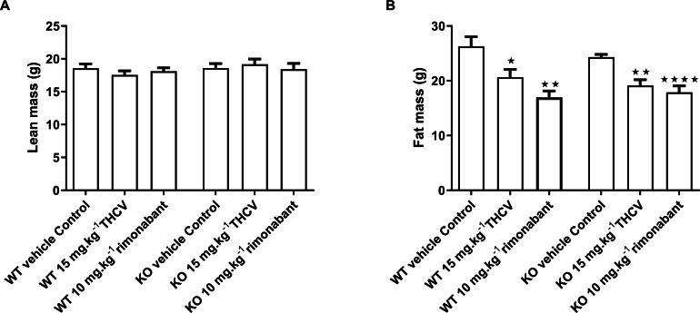 Lean and fat mass of GPR55 knockout and wild-type mice fed on a high fat diet and dosed with vehicle, THCV or rimonabant.Body composition was measured by NMR on day 32. Two-way ANOVA followed by the FDR test showed no effect of either rimonabant or THCV on lean mass in either wild type or knockout mice (A). There was a significant effect of either THCV or rimonabant on fat mass in both wild-type and knockout mice (B). Genotype had no effect on the extent of fat mass reduction elicited by either THCV or rimonabant. *P < 0.05; **P < 0.01; ****P < 0.0001.