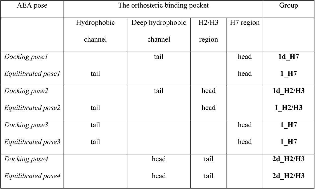 Receptor interactions of the eight docking poses selected from AutoDock runs and the corresponding equilibrated poses in simulation.
