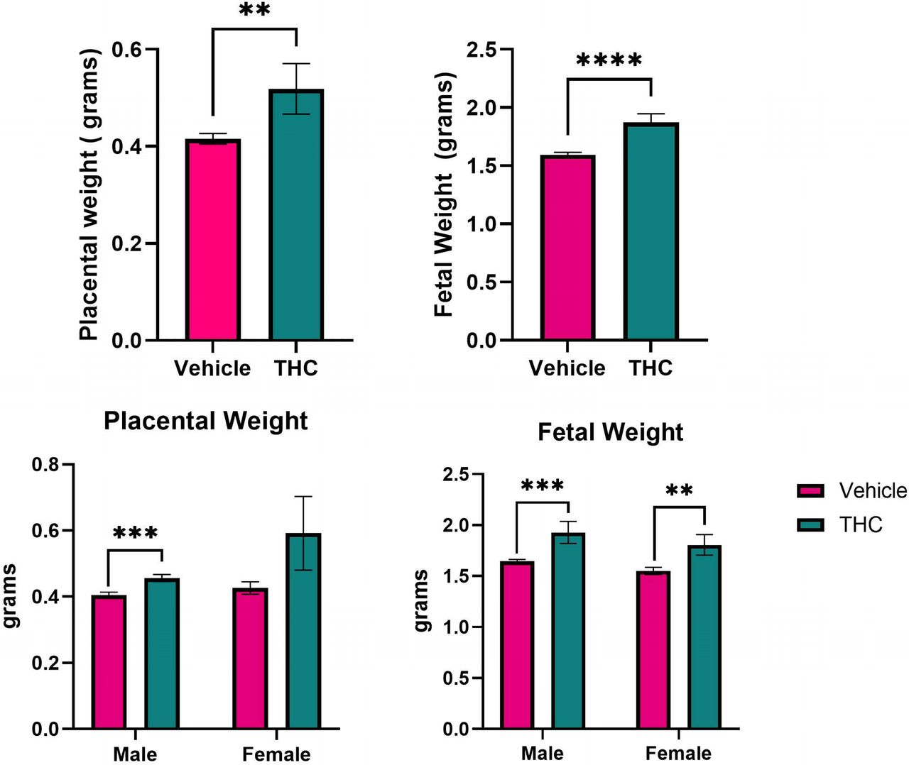 Prenatal cannabinoid exposure increases placental and fetal weights. Placental (A) and fetal (B) weights were significantly increased in GD19 THC-exposed pregnancies. When comparing weights between the sexes, only male THC placentas were significantly heavier than male controls with no significant difference between female THC and female control placentas. Both male and female fetuses were significantly larger than their control counterparts. Values are mean ± SEM. n = 49 placentas (from 4 dams) for the VEH group and n = 39 placentas (from 3 dams) from the THC group. For statistical comparison between sexes n = 23 VEH males and 26 VEH females and 21 THC males and 18 THC females. Statistics were generated using the Mann-Whitney U test. ** p < 0.01, *** p < 0.001 **** p < 0.0001.