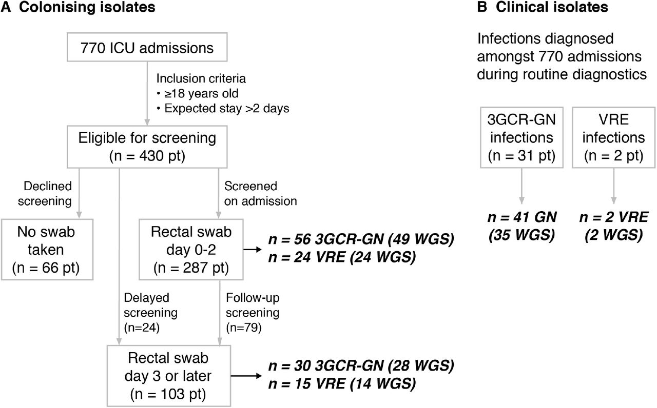 Sources of (A) colonising and (B) clinical isolates from ICU patients.3GCR-GN, third generation cephalosporin-resistant Gram-negatives; VRE, vancomycin-resistant enterococci; pt patients; WGS, whole-genome sequences. Bold italics indicates number of isolates, numbers in parentheses indicate the number of WGS included in analyses.
