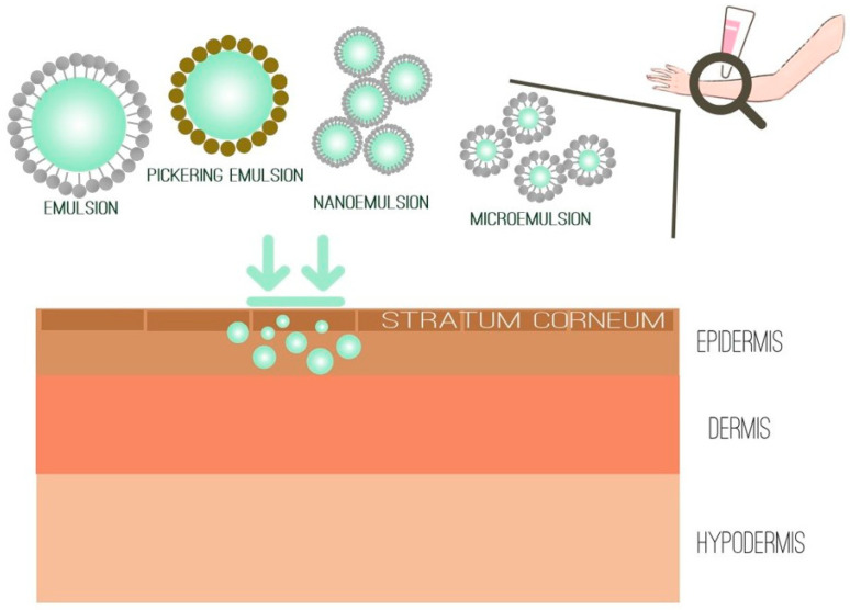 Emulsion-type vehicles for topical drug delivery.