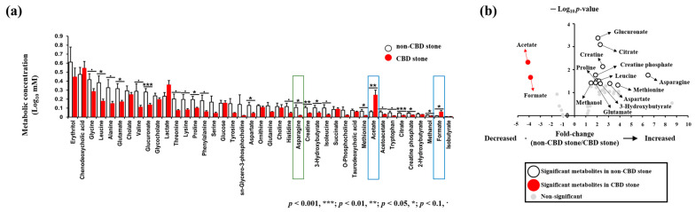 Signature metabolites. (a) Metabolite concentration analysis revealed elevated acetate and formate (blue boxes) levels in the CBD stone group, while the non-CBD stone group showed higher asparagine (green box) levels. (b) The metabolic concentrations were represented as fold-changes (non-CBD stone group/CBD stone group), where acetate and formate were significantly elevated in the CBD stone group compared to the non-CBD stone group.