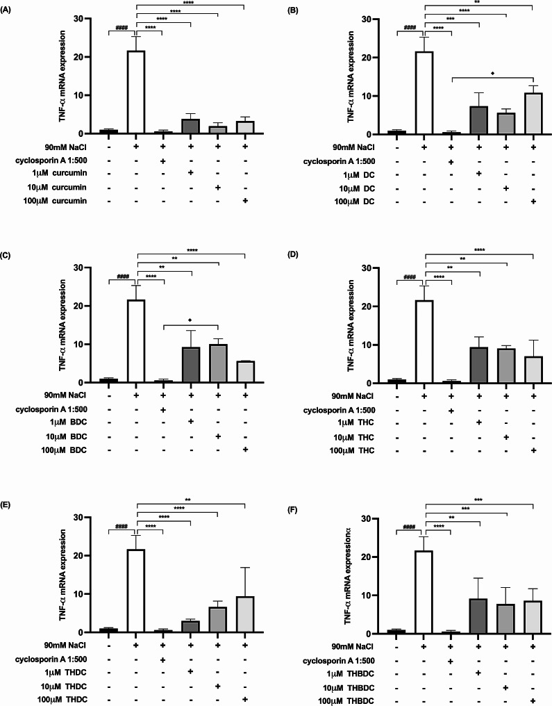 Effect of curcuminoids and curcuminoid analogs on TNF-α mRNA expressions in hyperosmotic-induced human corneal limbal epithelial cells. After 90mM NaCl exposure for 6 h, TNF-α mRNA expression levels were inhibited by (A) curcumin, (B) demethoxycurcumin (DC), (C) bisdemethoxycurcumin (BDC), (D) tetrahydrocurcumin (THC), (E) tetrahydrodemethoxycurcumin (THDC), and (F) tetrahydrobisdemethoxycurcumin (THBDC). mRNA expression levels were assessed using quantitative RT-PCR. ####P < 0.0001 compared to control. **P < 0.01, ***P < 0.001, ****P < 0.0001 compared to NaCl alone. ♦P < 0.05 compared to NaCl + cyclosporin A