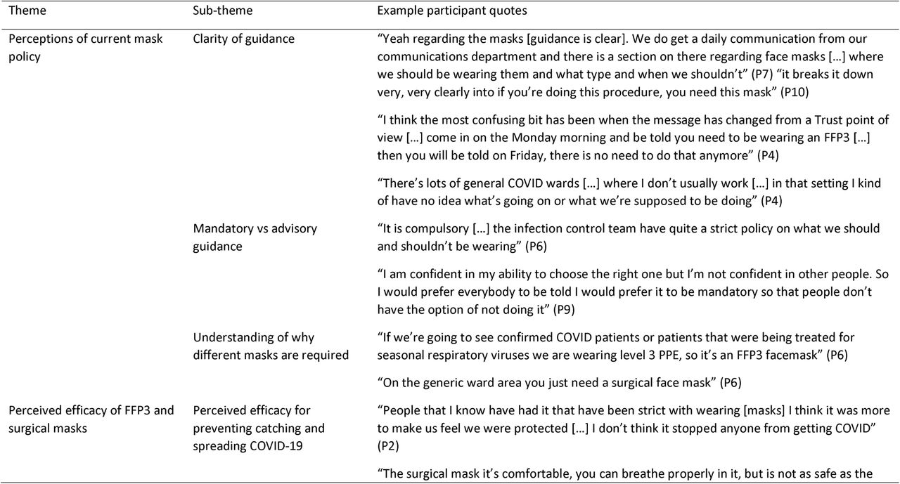 Summary of themes, sub-themes, and example participant quotes.