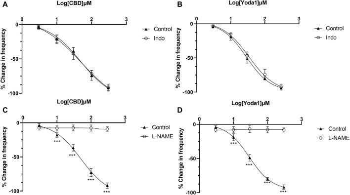 Release of NO mediates the inhibitory effects of TRPV2 and Piezo1 agonists. (A,B) Dose-response curves of CBD and Yoda1 showing that indomethacin does not influence the inhibitory effects of TRPV2 agonist (A) and Piezo1 agonist (B). (C,D) Dose-response curves of CBD (C) and Yoda1 (D) showing that L-NAME, a NOS antagonist, significantly blocks the inhibitory effects of both TRPV2 and Piezo1 agonists (t tests). ***p < 0.001. Agonist effects are expressed as % change in the frequency (Hz) of ureteral contractions from the baseline. Each curve represents average data from 5–8 ureter strips. Indo: Indomethacin.