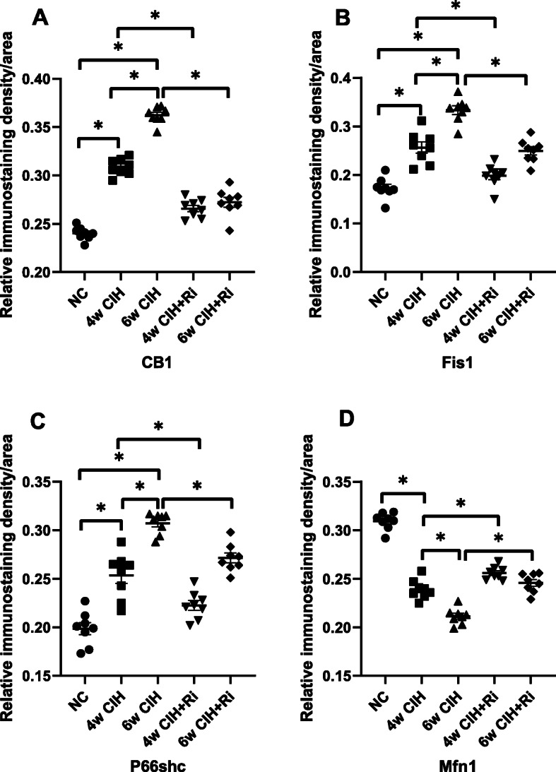 Quantitative analyses of CB1R, Fis1, p66shc and Mfn1 using immunohistochemistry. Data are expressed as means ± SEM, n = 8,*p < 0.05. a: Relative immunostatining density of CB1R/aera; b: Relative immunostaining density of Fis1/area; c: Relative immunostaining density of P66shc/area; d: Relative immunostatining density of Mfn1/area